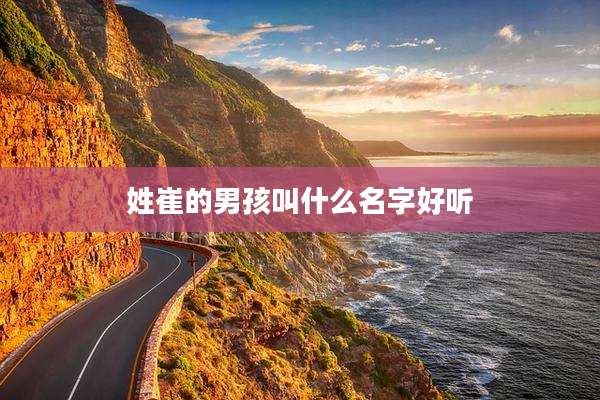 姓崔的男孩叫什么名字好听
