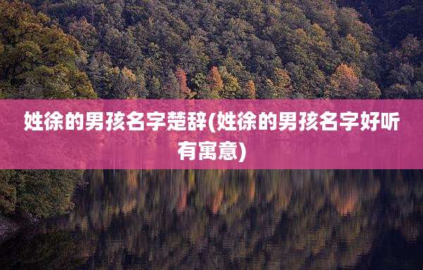 姓徐的男孩名字楚辞(姓徐的男孩名字好听有寓意)