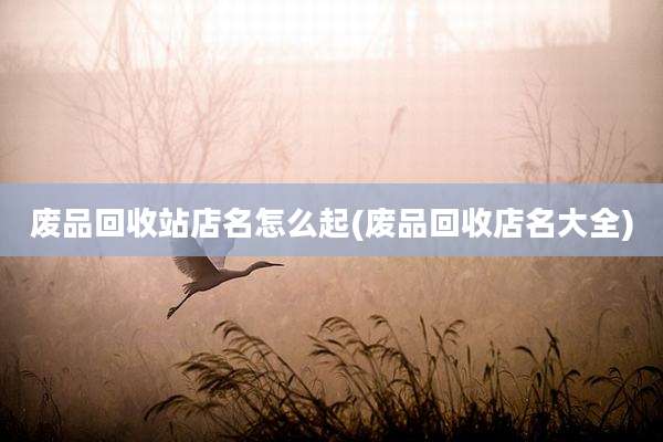 废品回收站店名怎么起(废品回收店名大全)