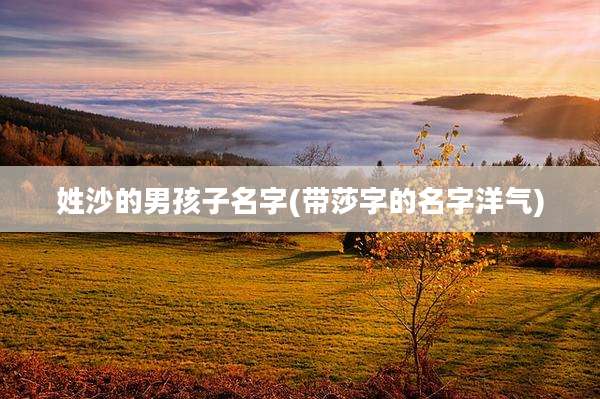 姓沙的男孩子名字(带莎字的名字洋气)