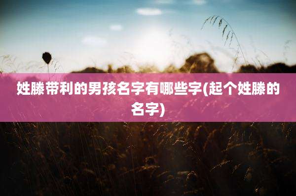 姓滕带利的男孩名字有哪些字(起个姓滕的名字)