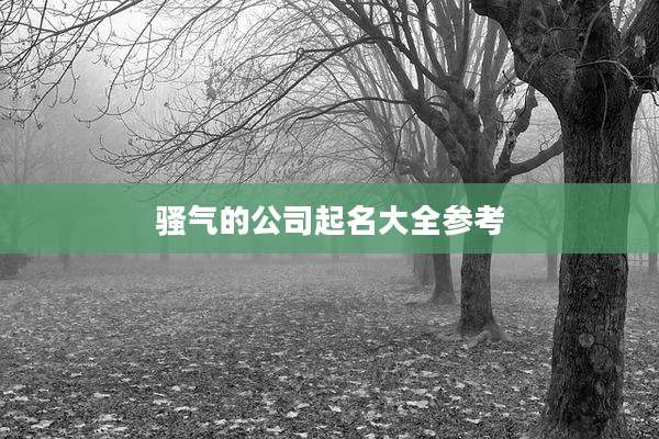 骚气的公司起名大全参考