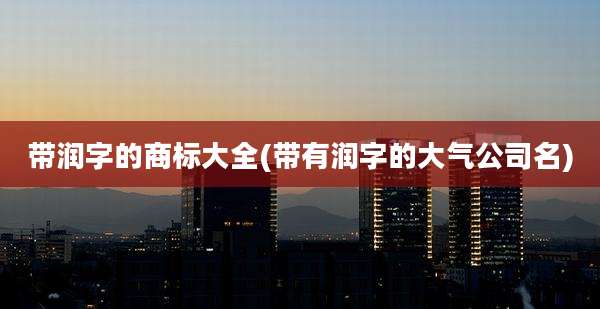 带润字的商标大全(带有润字的大气公司名)