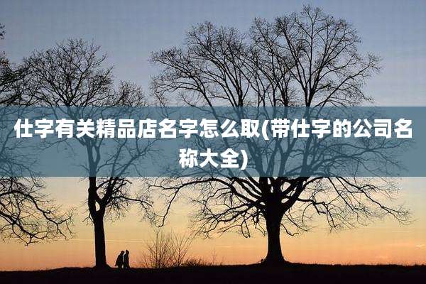 仕字有关精品店名字怎么取(带仕字的公司名称大全)