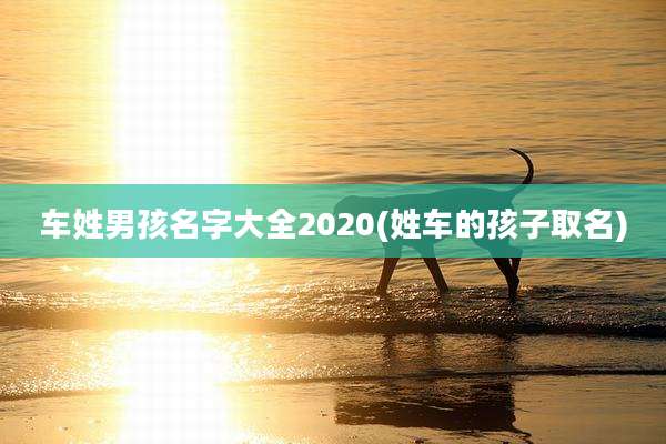 车姓男孩名字大全2020(姓车的孩子取名)