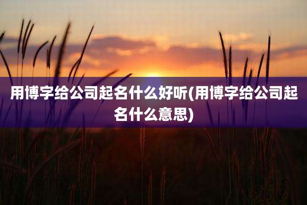 用博字给公司起名什么好听(用博字给公司起名什么意思)