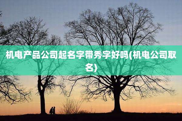 机电产品公司起名字带秀字好吗(机电公司取名)