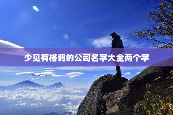 少见有格调的公司名字大全两个字