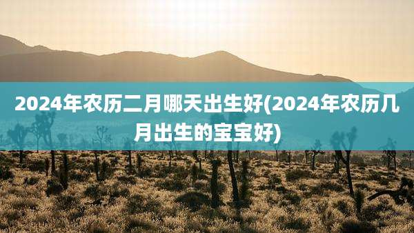 2024年农历二月哪天出生好(2024年农历几月出生的宝宝好)