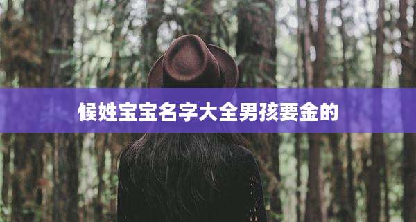 候姓宝宝名字大全男孩要金的