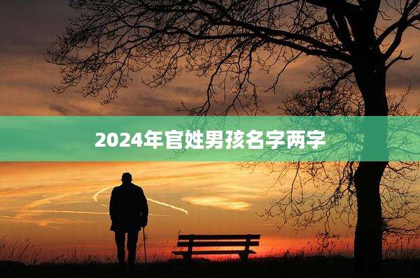 2024年官姓男孩名字两字