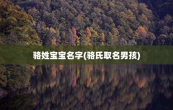 骆姓宝宝名字(骆氏取名男孩)