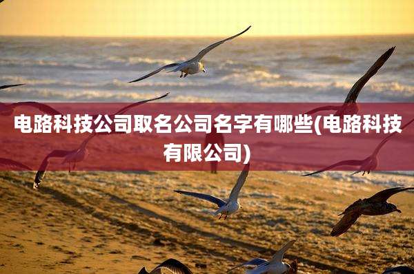 电路科技公司取名公司名字有哪些(电路科技有限公司)