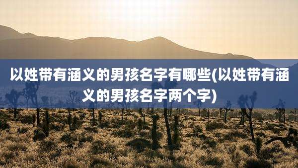 以姓带有涵义的男孩名字有哪些(以姓带有涵义的男孩名字两个字)