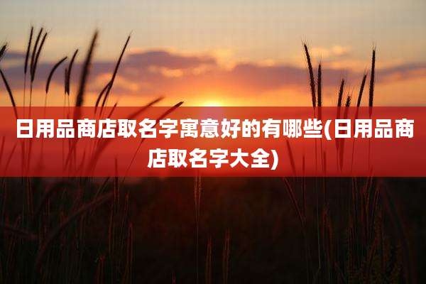 日用品商店取名字寓意好的有哪些(日用品商店取名字大全)