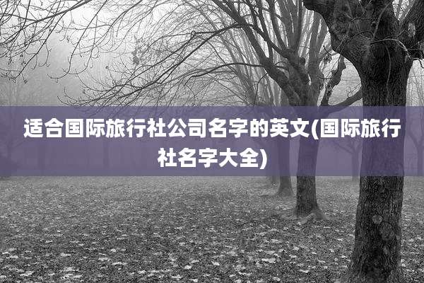 适合国际旅行社公司名字的英文(国际旅行社名字大全)