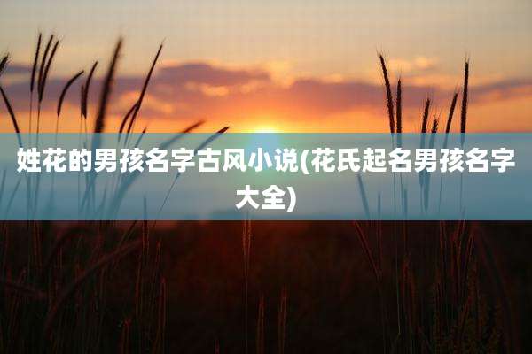 姓花的男孩名字古风小说(花氏起名男孩名字大全)