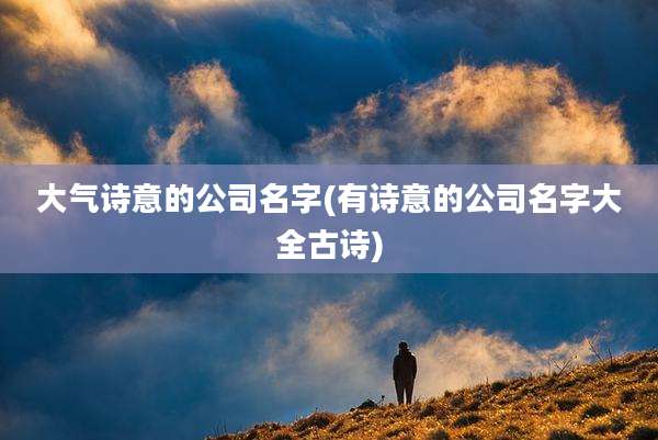 大气诗意的公司名字(有诗意的公司名字大全古诗)