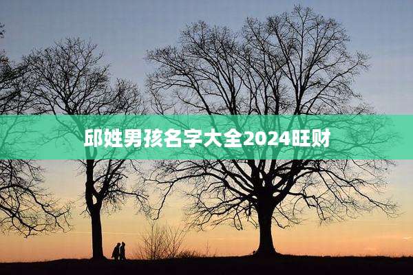 邱姓男孩名字大全2024旺财