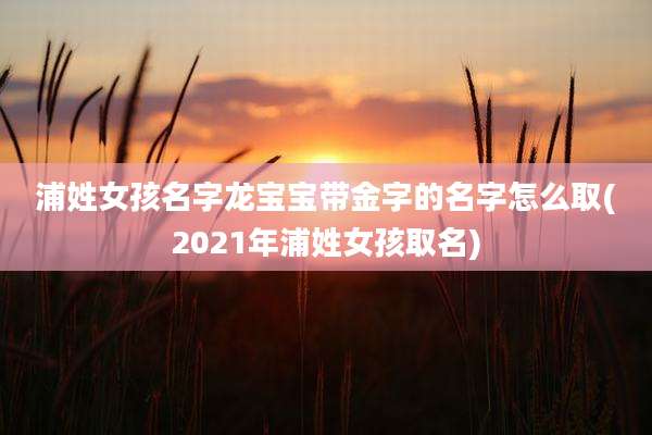 浦姓女孩名字龙宝宝带金字的名字怎么取(2021年浦姓女孩取名)