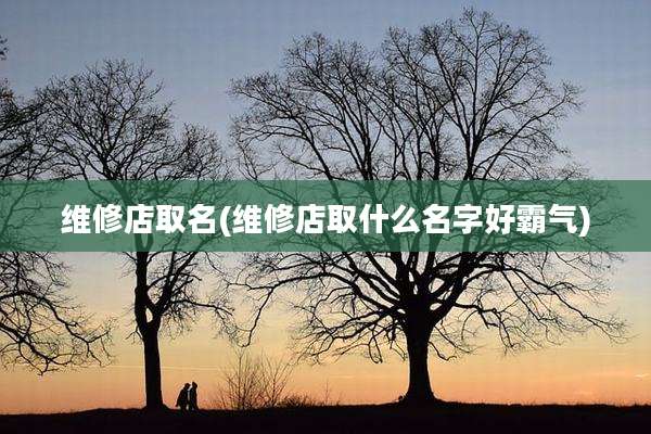 维修店取名(维修店取什么名字好霸气)