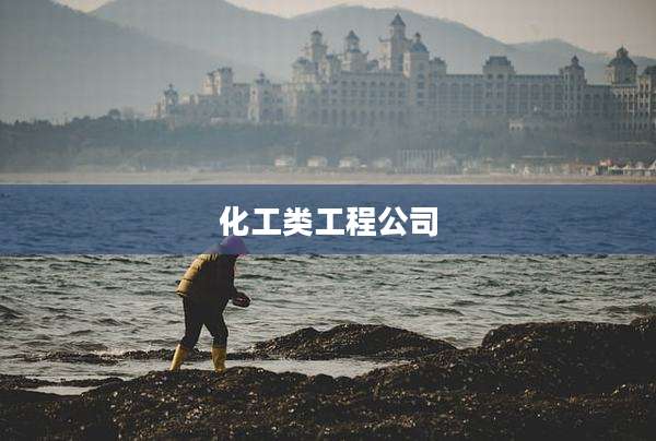 化工类工程公司