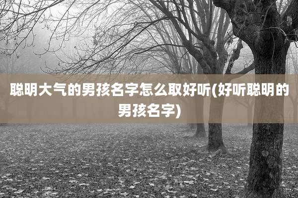 聪明大气的男孩名字怎么取好听(好听聪明的男孩名字)