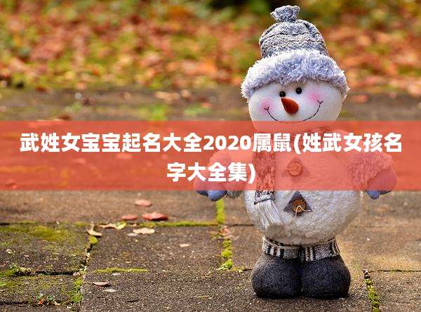 武姓女宝宝起名大全2020属鼠(姓武女孩名字大全集)