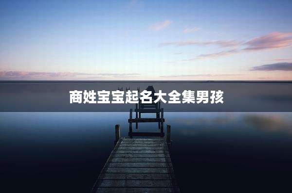 商姓宝宝起名大全集男孩
