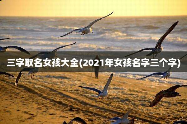三字取名女孩大全(2021年女孩名字三个字)