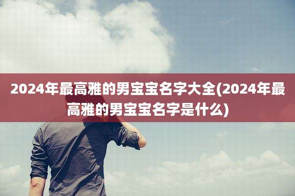 2024年最高雅的男宝宝名字大全(2024年最高雅的男宝宝名字是什么)