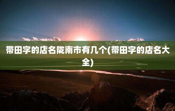 带田字的店名陇南市有几个(带田字的店名大全)
