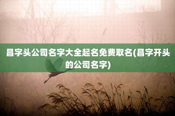 昌字头公司名字大全起名免费取名(昌字开头的公司名字)