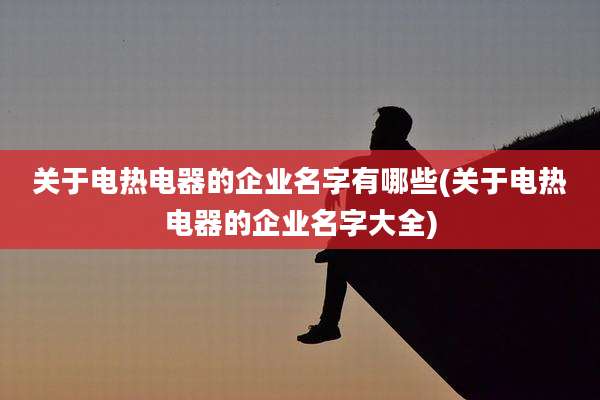 关于电热电器的企业名字有哪些(关于电热电器的企业名字大全)