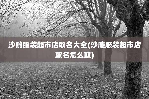 沙雕服装超市店取名大全(沙雕服装超市店取名怎么取)