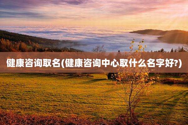 健康咨询取名(健康咨询中心取什么名字好?)