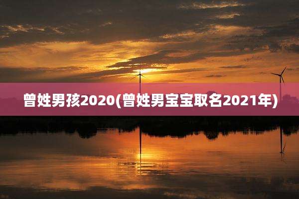 曾姓男孩2020(曾姓男宝宝取名2021年)