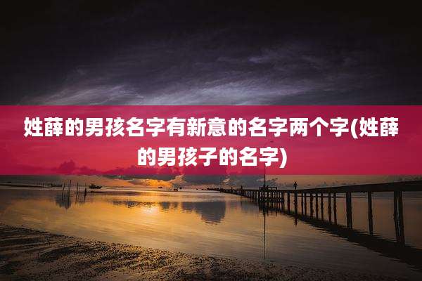 姓薛的男孩名字有新意的名字两个字(姓薛的男孩子的名字)