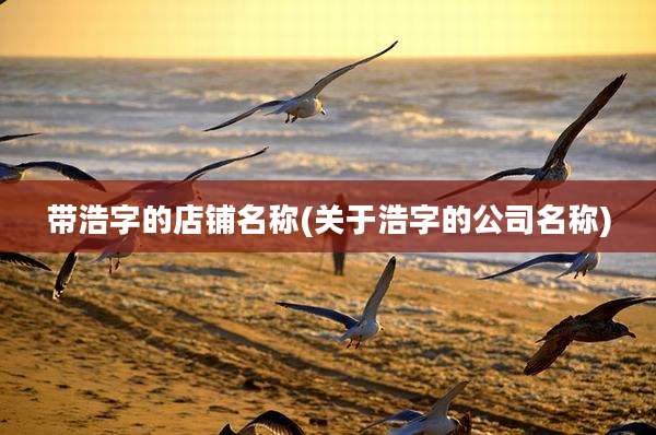 带浩字的店铺名称(关于浩字的公司名称)