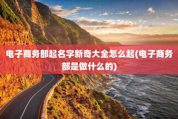 电子商务部起名字新奇大全怎么起(电子商务部是做什么的)