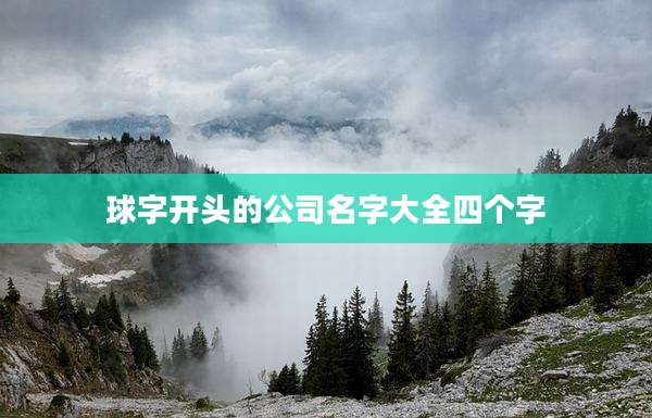 球字开头的公司名字大全四个字