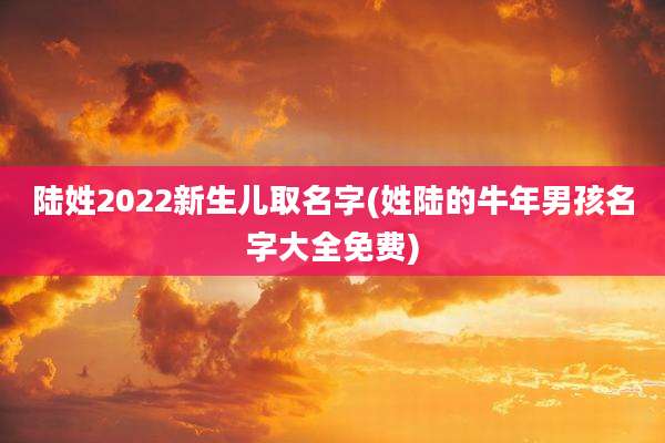 陆姓2022新生儿取名字(姓陆的牛年男孩名字大全免费)