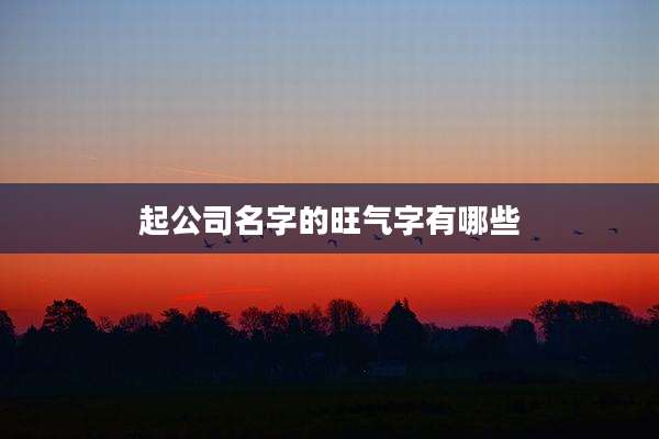 起公司名字的旺气字有哪些