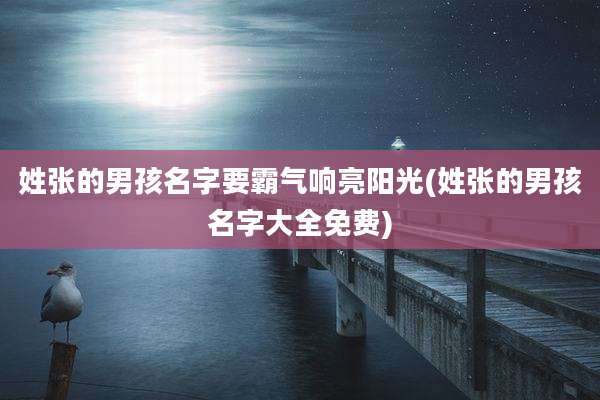 姓张的男孩名字要霸气响亮阳光(姓张的男孩名字大全免费)