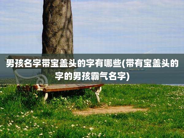 男孩名字带宝盖头的字有哪些(带有宝盖头的字的男孩霸气名字)