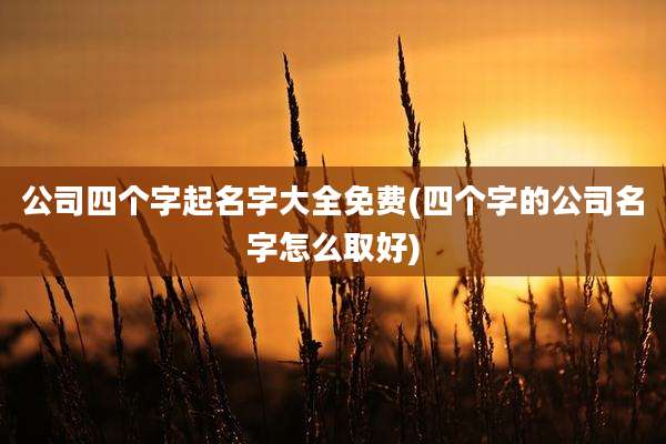 公司四个字起名字大全免费(四个字的公司名字怎么取好)