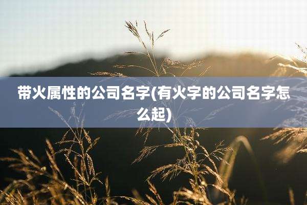带火属性的公司名字(有火字的公司名字怎么起)