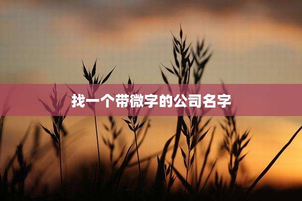 找一个带微字的公司名字