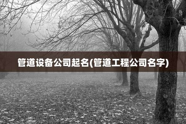 管道设备公司起名(管道工程公司名字)