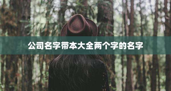 公司名字带本大全两个字的名字